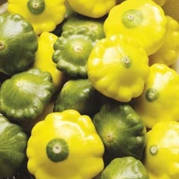 patty pan squash mixed buttons