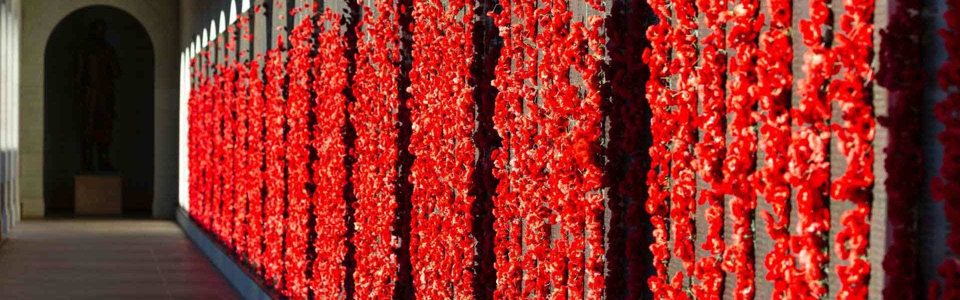 Lest We Forget - Anzac Day wall of poppies
