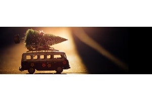 delivering the christmas tree