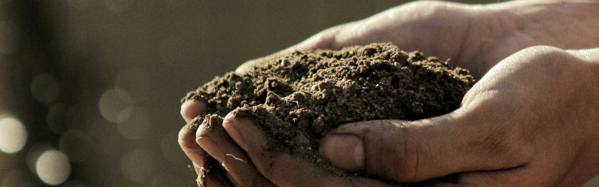 good soil