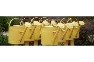 waterwise gardening