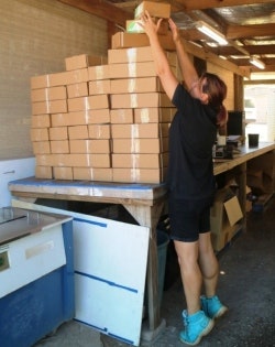 Boxtower 250