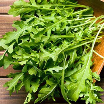 Rocket - seed