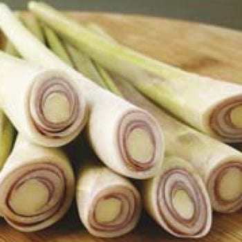 Lemon Grass - seed