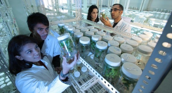 plant laboratory