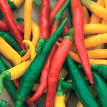 Chilli Devil's Brew - seed