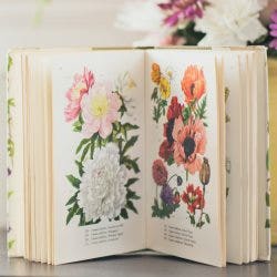 botanic book