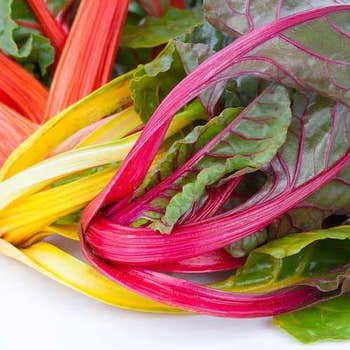 rainbow chard