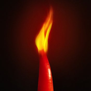 hottest chili pepper seeds