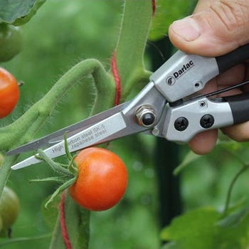 Compact Snips