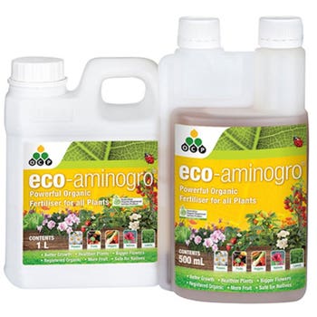 eco-aminogro