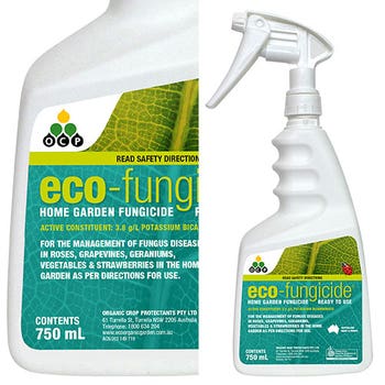 eco-fungicide