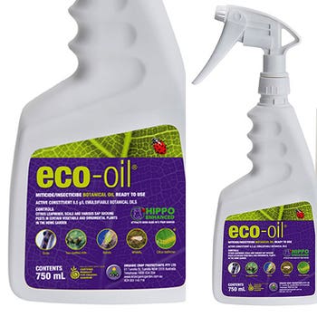 eco-oil spray