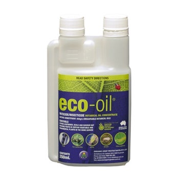 eco-oil 250ml