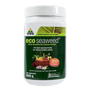 eco-seaweed powder 600g