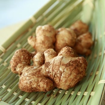 edible ginger plants