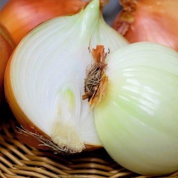Onion Hunter River Brown - seed