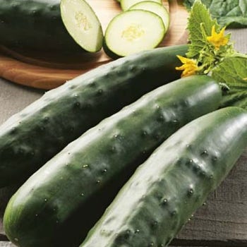 Cucumber Long Green Supermarket - seed