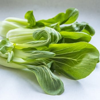 Pak Choi - seed