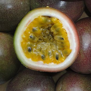 Passionfruit Flame Ruby