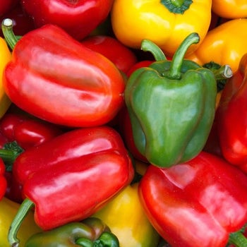 Capsicum Sweet Delight - seed