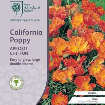 Californian poppy double - seed 