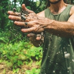 well-drained soil