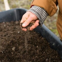 potting mix