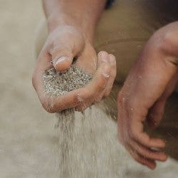 dry sandy soil