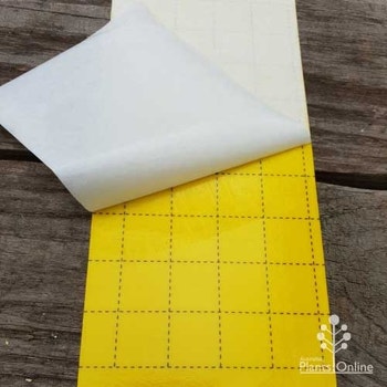 yellow sticky traps for plant pests