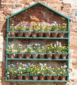 tailor-made displays for favourite plants