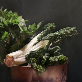Silverbeet Fordhook Giant - seed
