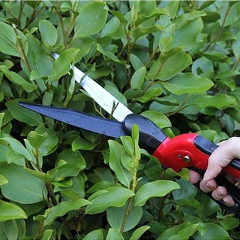 Swivel Shears
