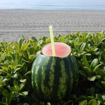 sugar baby watermelon seed
